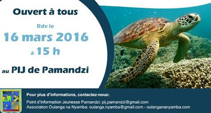 Réunion d'information sur les tortues marines de Mayotte