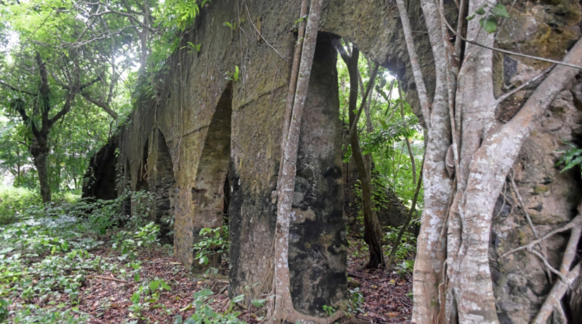 Loto du patrimoine 2019: mauvais tirage pour Mayotte