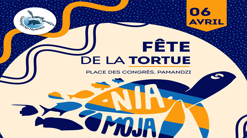 La tortue en fête à Pamandzi