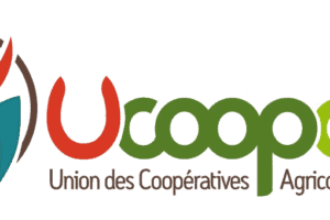 Recrutement Directeur/trice général/e Coopérative Agricole