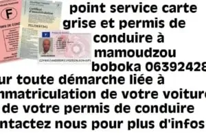 point service carte grise et permis de conduire