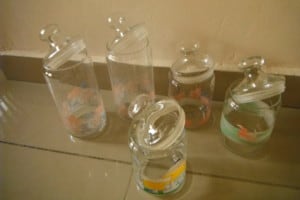 Vends lot de 5 bocaux