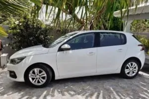 Peugeot 308 très bon état