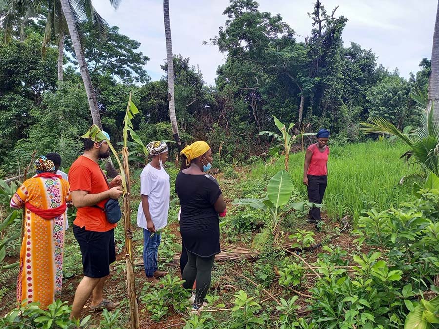 jeunes-agriculteurs-mayotte-syndicat-rescousse-profession-1