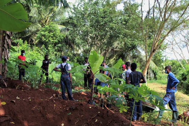 permaculture-banana-circles-oyas-nouvelles-experimentations-lycee-agricole-coconi