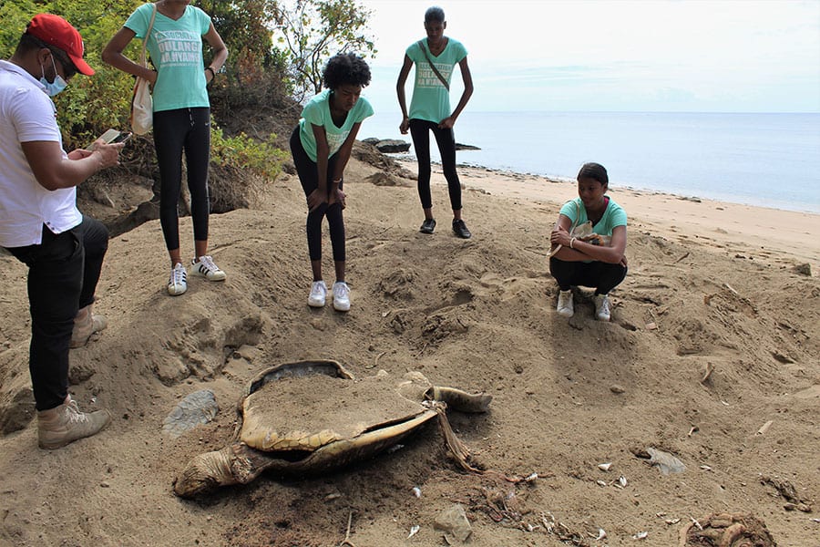 candidates-miss-petite-terre-futures-ambassadrices-tortues