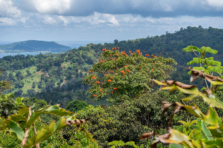 apres-un-an-absence-cafes-naturalistes-retour-mayotte