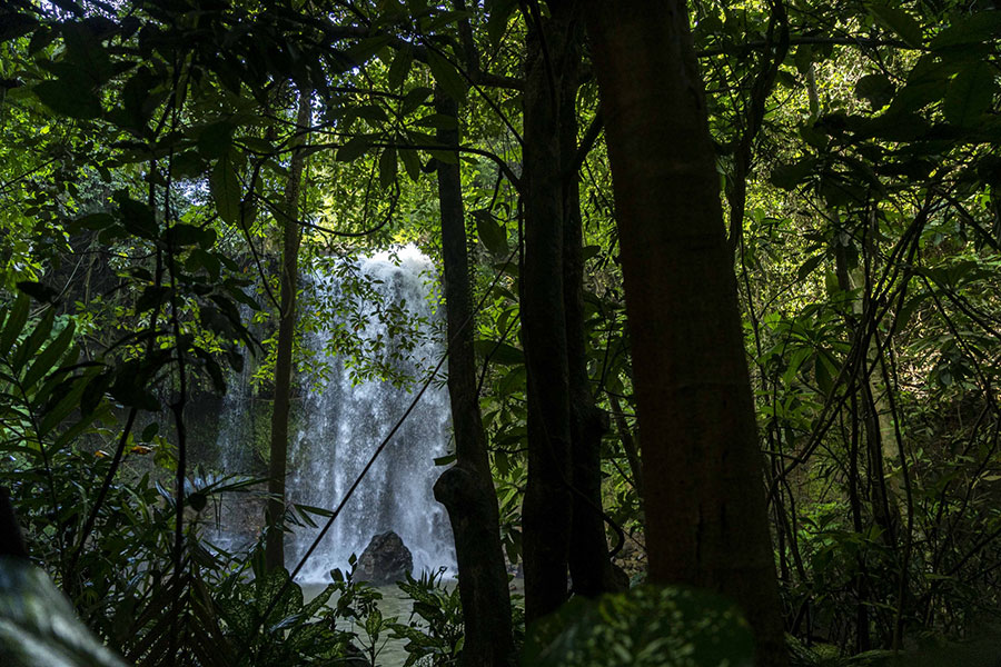 plan-regional-sante-environnement-mayotte