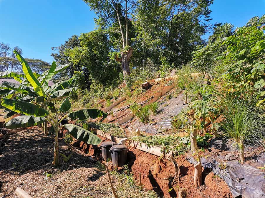 ateliers-grandeurs-natures-sensibiliser-erosion-lycee-coconi