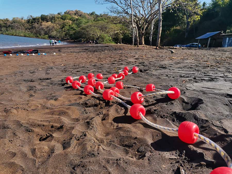 comme-poisson-dans-eau-cercle-nageurs-mayotte