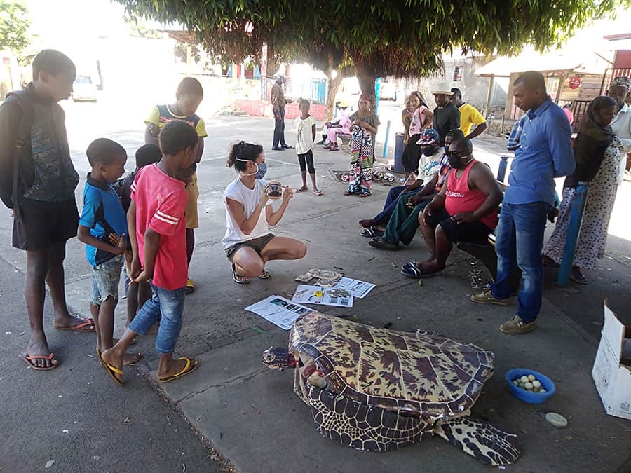 mayotte-nature-environnement-societe-consommation-demarre-mayotte-dix-ans-sans-gestion