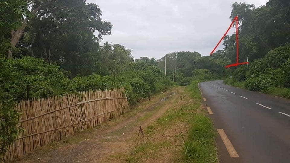 vol-deux-roues-trafic-juteux-mayotte-comores