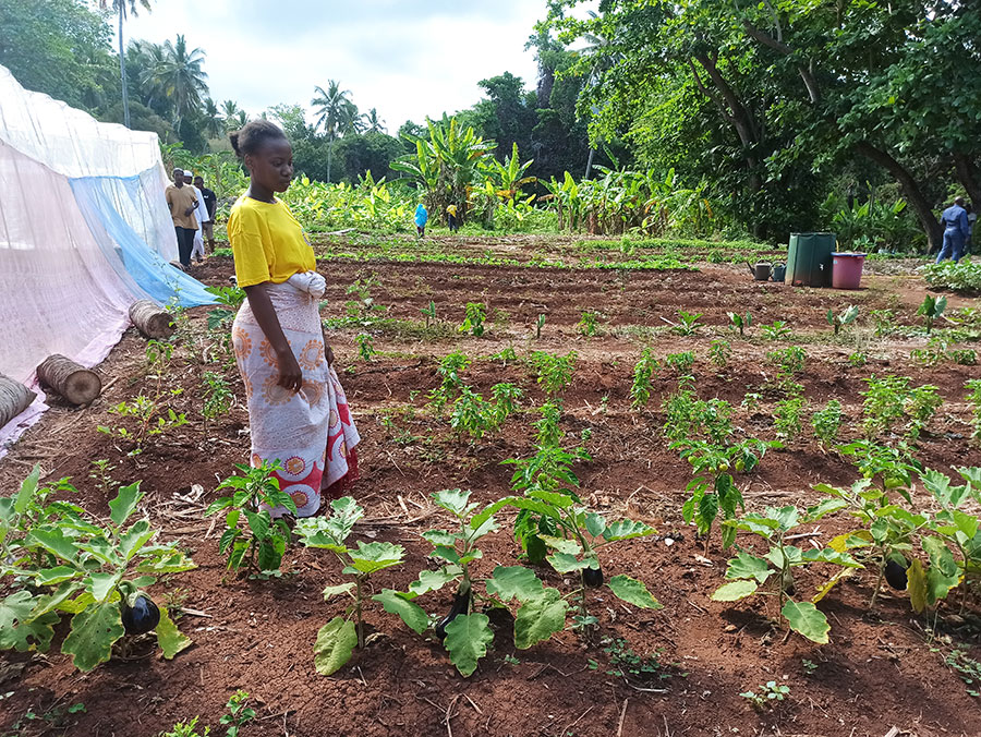 agriculture-bio-se-structurer-mayotte-