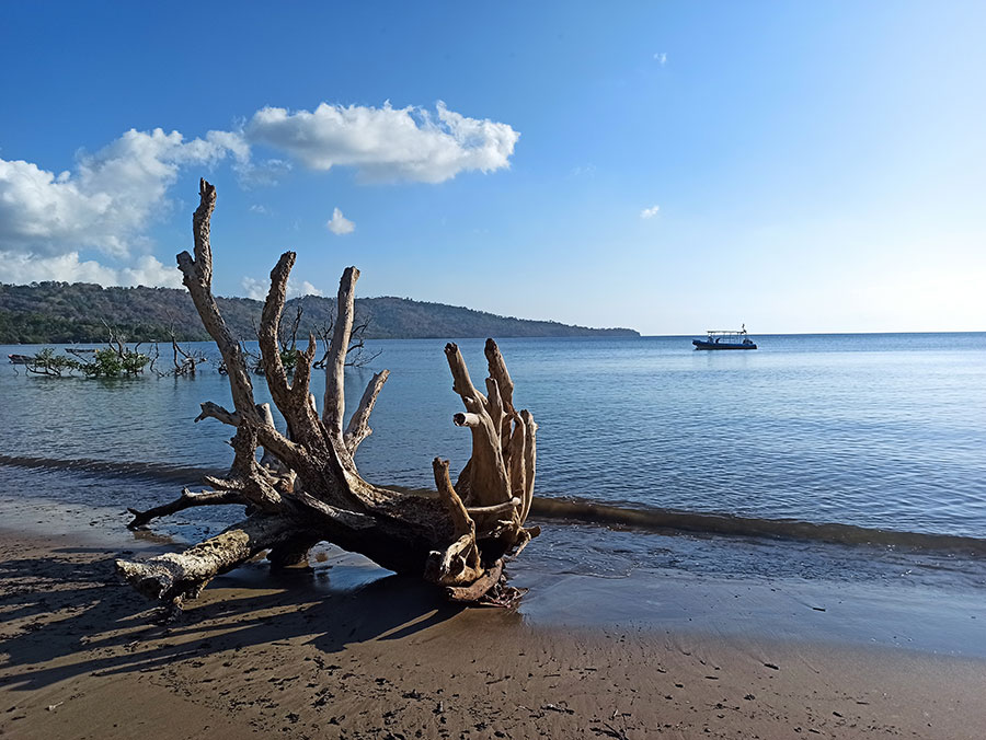 projections-climatiques-vulnerabilite-mayotte