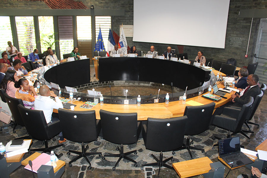 energies-renouvelables-departement-oppose-creation-filiale-edm