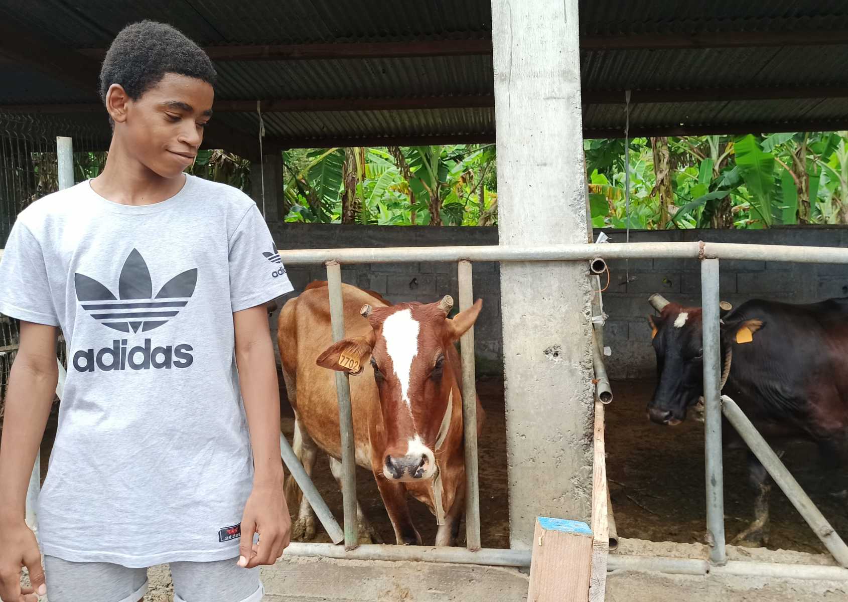 la-ferme-dhajangoua-veut-susciter-des-vocations