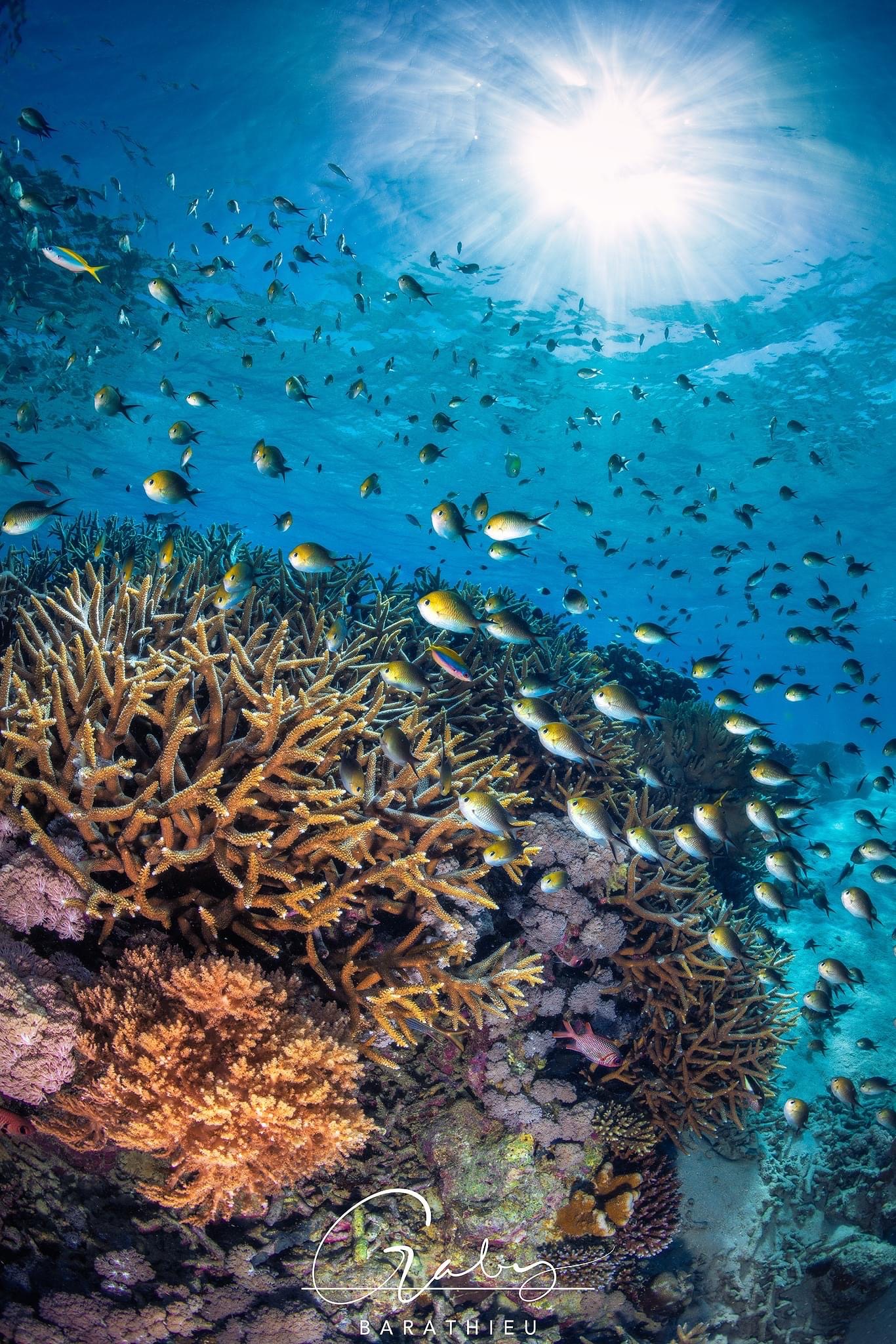 trophees-du-tourisme-ils-font-briller-mayotte-au-dela-du-lagon