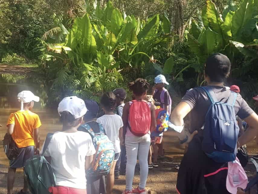 trophees-de-lenvironnement-cinq-etablissements-scolaires-particulierement-impliques