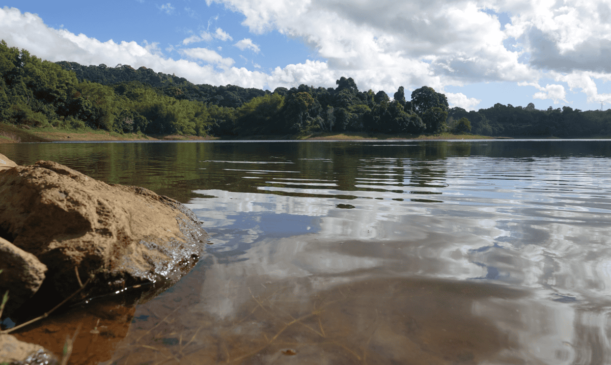 Pénurie d'eau à Mayotte : une crise qui aurait pu être évitée