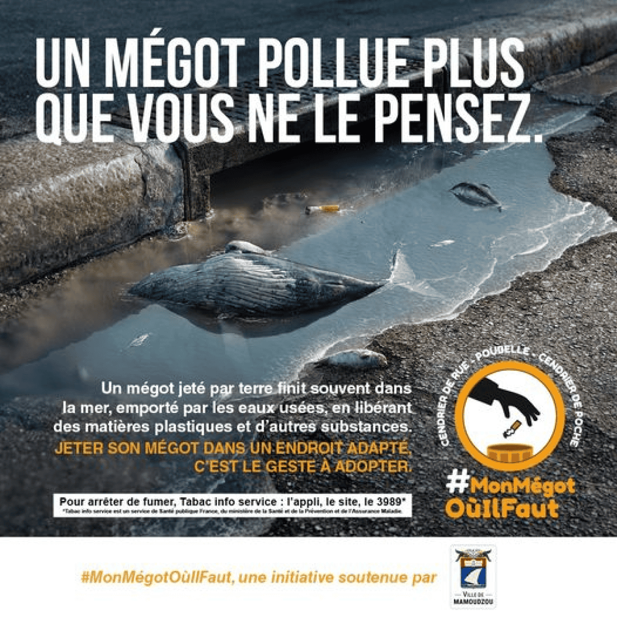 campagne-contre-les-megots-mamoudzou