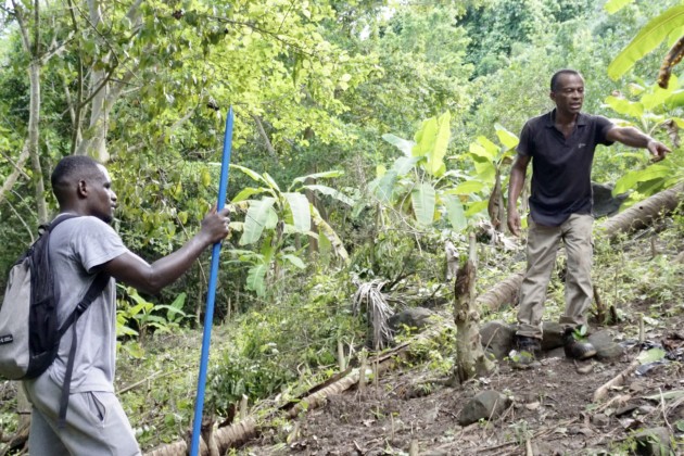 planter-arbres-pour-leau-jaillisse-mbouanatsa