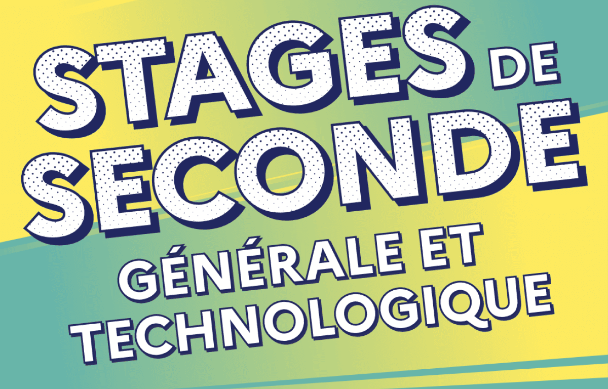 un-nouveau-stage-obligatoire-pour-les-lyceens-de-seconde