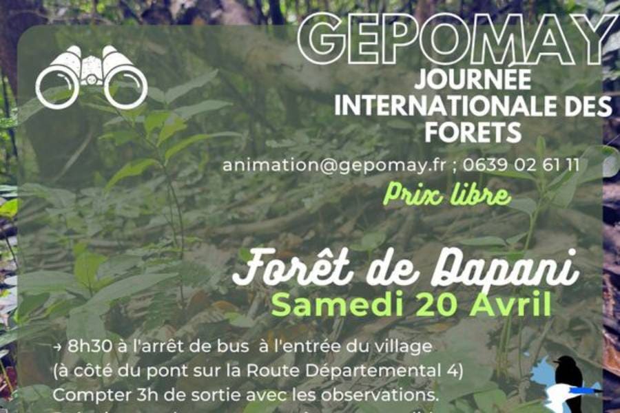 decouverte-foret-dapani-avec-gepomay-samedi