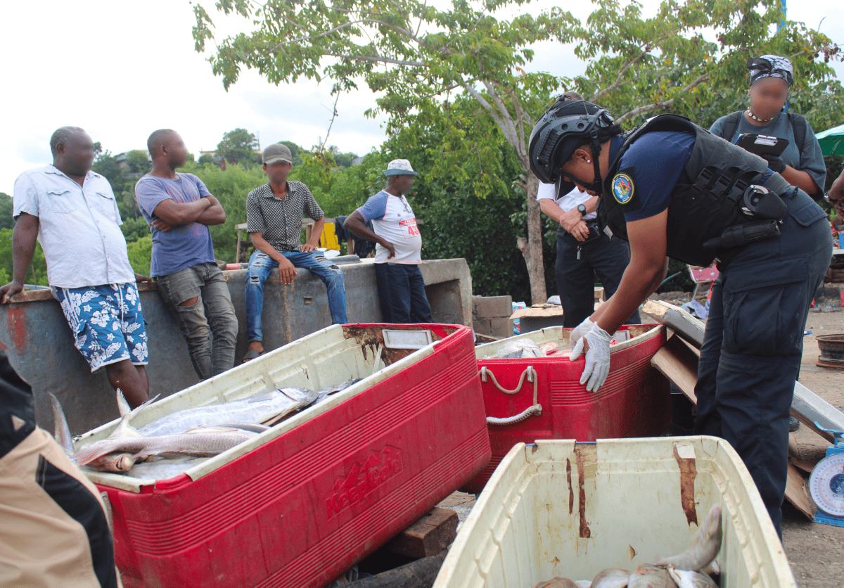 peche-illegale-pres-dune-tonne-poissons-saisis-port-mtsapere-lundi peche-illegale-pres-dune-tonne-poissons-saisis-port-mtsapere-lundi