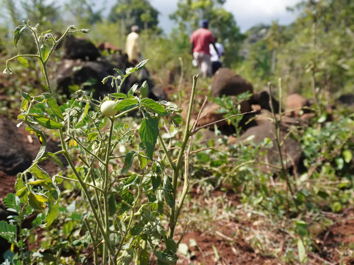 campagne-pour-proteger-terrains-agricoles