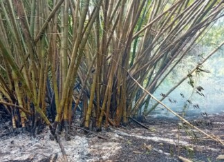 Un important incendie en cours à la cascade de Soulou ce lundi