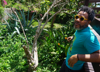 Eliasse : « Je suis né artistiquement à Mayotte » eliasse-je-suis-ne-artistiquement-a-mayotte