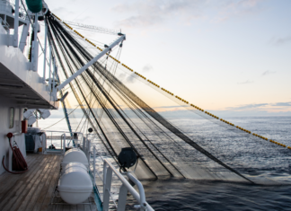 Saïd Omar Oili à la pêche aux redevances des navires seychellois said-omar-oili-a-la-peche-aux-redevances-des-navires-seychellois