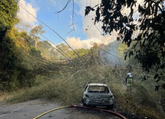 Une voiture en feu entre Combani et Kahani bloque la circulation une-voiture-en-feu-entre-combani-et-kahani-bloque-la-circulation