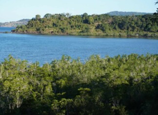 Usine d’Ironi Bé : Le Parc Naturel Marin de Mayotte donne son feu vert, mais avec des réserves usine-dironi-be-le-parc-naturel-marin-de-mayotte-donne-son-feu-vert-mais-avec-des-reserves