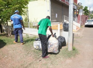 Les agents de Mamoudzou donnent l’exemple pour Novembre vert les-agents-de-mamoudzou-donnent-lexemple-pour-novembre-vert