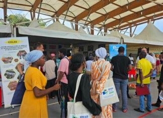 Salon de l’Emploi : « C’est Mayotte qui crie au monde, on recrute, venez ! » salon-de-lemploi-cest-mayotte-qui-crie-au-monde-on-recrute-venez