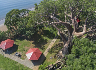 Un jeune homme de 23 ans retrouvé mort à Musicale plage un-jeune-homme-de-23-ans-retrouve-mort-a-musicale-plage