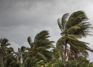 Cyclone Chido : « Le système devrait passer à proximité immédiate de Mayotte » cyclone-chido-le-systeme-devrait-passer-a-proximite-immediate-de-mayotte