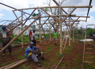 Une serre d’urgence en bambou au lycée agricole de Coconi