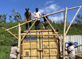 La filière bambou peut-elle se développer après Chido ? la-filiere-bambou-peut-elle-se-developper-apres-chido