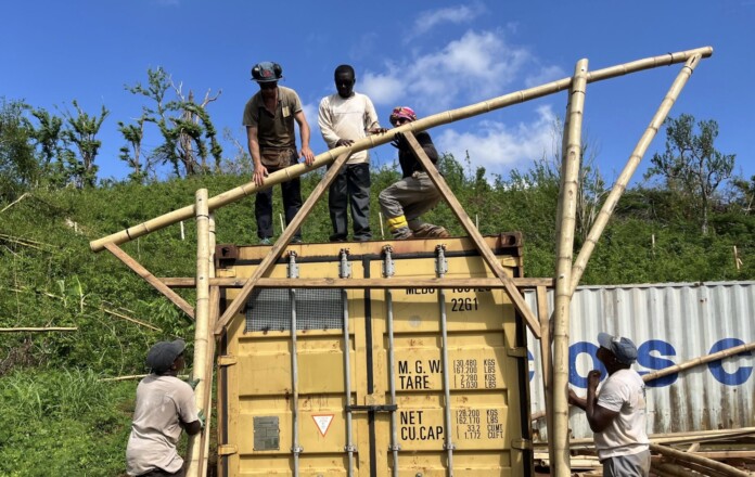 la-filiere-bambou-peut-elle-se-developper-apres-chido