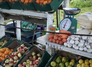La préfecture assouplit l’interdiction de ramener des fruits et légumes de voyage la-prefecture-assouplit-linterdiction-de-ramener-des-fruits-et-legumes-de-voyage