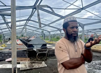 “Il y a un trou sur quelques mois sans fruits et légumes disponibles” quelques-mois-sans-fruits-et-legumes-disponibles