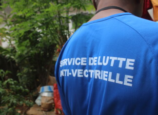 Une vingtaine de cas de paludisme à Mayotte depuis janvier