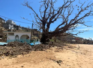 Tribune libre : Les maires appelés à “assurer une gestion efficace et coordonnée de la reconstruction” tribune-libre-les-maires-appeles-a-assurer-une-gestion-efficace-et-coordonnee-de-la-reconstruction