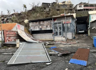 “Nous n’avons pas de trésorerie” les petites entreprises de Mayotte craignent de ne jamais se relever après Chido “Nous n’avons pas de trésorerie” les petites entreprises de Mayotte craignent de ne jamais se relever après Chido