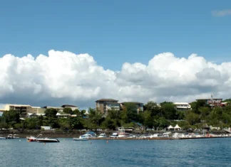 « Nous avons besoin que toutes les conditions soient réunies pour une reprise à Mayotte » nous-avons-besoin-que-toutes-les-conditions-soient-reunies-pour-une-reprise-a-mayotte