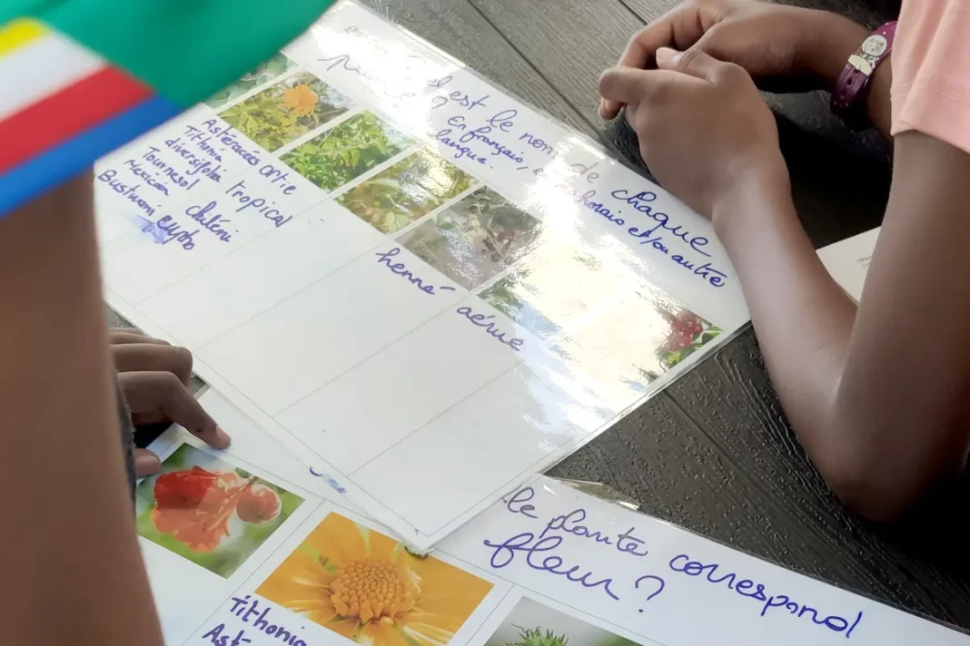 Petite-Terre : prolongation de l’appel à projets 2025 de la Cité Éducative