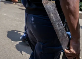 La vente et le port de machette interdits à Mayotte sauf « motif légitime »