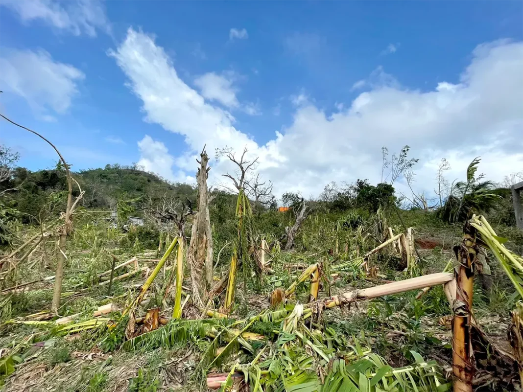 400 outils livrés aux agriculteurs à Mayotte